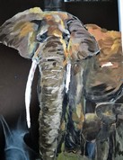 Elephante et elephanteau 